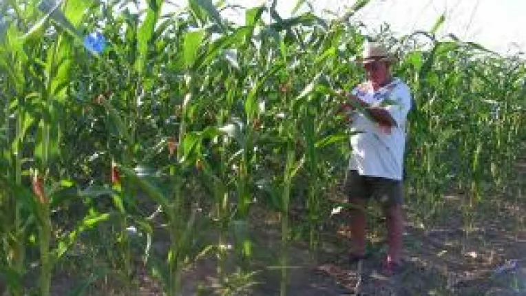 1.500 de euro pentru fermele de semisubzistenta