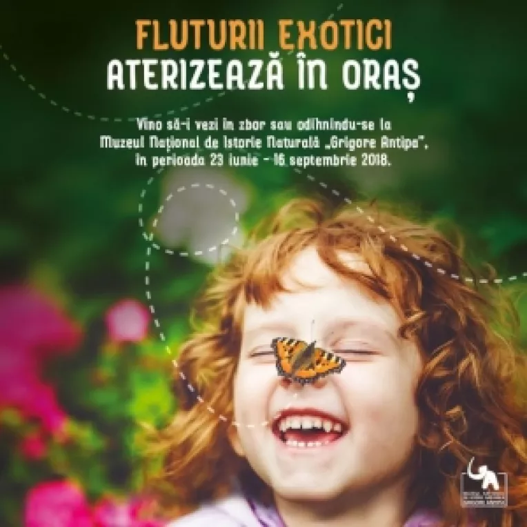 FLuturii exotici aterizeaza in oras