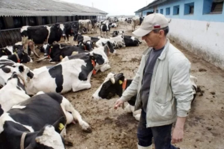 Sprijin financiar pentru crescatorii de animale